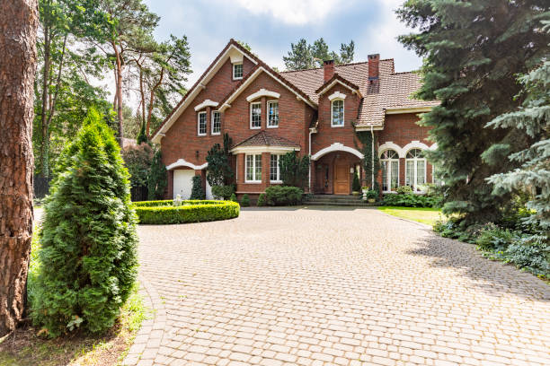 Best Local Driveway Pavers  in Carthage, TN